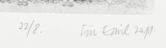 Für Emil (1967-): Arborétum, 2011. Szitanyomat, papír, jelzett, számozott (22/8), lapszéli apró szak...