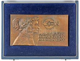 Búza Barna (1920-2010) 1987. EGIS - A 30 éves hűségért, munkáért bronz plakett eredeti tokban, DEÁK FERENCNÉ gravírozással (132x74mm) T:1
