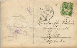 1909 Diósvölgy (Tata); sétány. photo (EK)