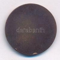 Szántó Gergely (1886-1962) DN "Gróf Széchenyi István 1791-1860" bronz emlékérem (26mm) T:2...