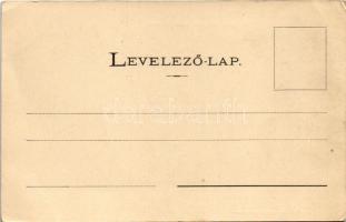 1904 Zilah, Zalau; Állami polgári leányiskola, Orbán Károly üzlete. Seres Samu kiadása / girl school...