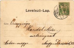 1905 Sepsiszentgyörgy, Sfantu Gheorghe; Potsa park. Benkő M. kiadása / park