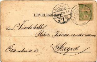 1903 Lugos, Lugoj; Vármegyeház. Weisz és Sziklai kiadása / Komitatshaus / county hall (fa)