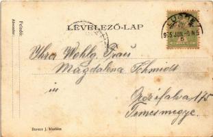 1905 Lugos, Lugoj; Gimnázium és Színház. Berecz J. kiadása / grammar school, theatre (EK)