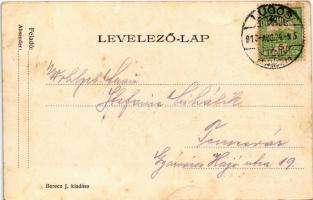 1910 Lugos, Lugoj; látkép. Berecz J. kiadása / general view (fl)