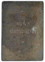 1919. "Műegyetemi Lövészegyesület 1919" egyoldalas, hadifém sportplakett, hátoldalon graví...