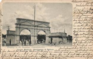 Beocsin (Belcsény) cement factory (EM)