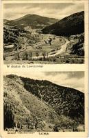 1939 Lavochne, Lawotschne, Lavocsne, Lawoczne; Tuchla, W drodze do Lawocznego, Szczyt Skubienica / general view, mountain peak (EK)