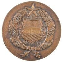 ~1960-1970. Kádár-címer egyoldalas bronz emlékérem (95mm) T:1-