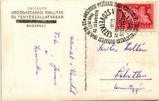 1948 Budapest, Országos Mezőgazdasági Kiállítás és Tenyészállat vásár, szürke marha + So. Stpl (fl)