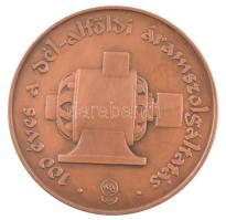 Szabó Gábor (1940- ) 100 éves a Dél-Magyarországi áramszolgáltatás kétoldalas bronz emlékérem tokjában (42mm) T:1-