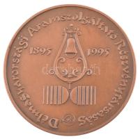 Szabó Gábor (1940- ) "100 éves a Dél-Magyarországi áramszolgáltatás" kétoldalas bronz emlé...