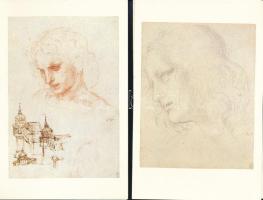 Leonardo da Vinci rajzai, 7 db reprodukció nyomat, 14x9 cm méretben, kiadói papírmappában