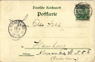 1901 Rügen, Gruss von der Insel Rügen. Der Königstuhl mit der Schlucht. Kunstanstalt Paul Finkenrath...