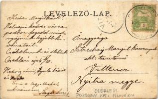 1906 Cseklész, Ceklís, Bernolákovo; család / family photo (EK)