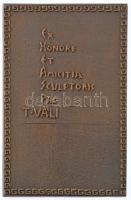 Németország 1970. "Nemzetközi Aeroszol Konferencia 1970" kétoldalas bronz emlékplakett, ad...