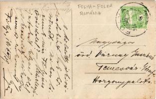 1916 Fólya, Folea (Temes, Timis); gyerekek kutyával a Bencizky kastély előtt / children with dog in ...