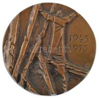 1975. "Felszabadulás 1945-1975" egyoldalas bronz emlékérem (98mm) T:2