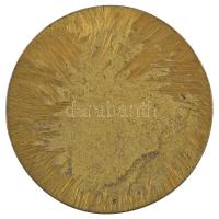 DN "Ardere et Lucere" egyoldalas bronz emlékérem (78mm) T: 1-