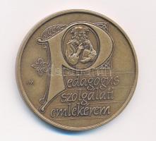 Fritz Mihály (1947-) DN Pedagógus Szolgálati Emlékérem egyoldalas bronz emlékérem (42,5mm) T:1-