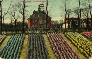 1921 Haarlem, Hiacinthenvelden / Hyacinth fields (EB)