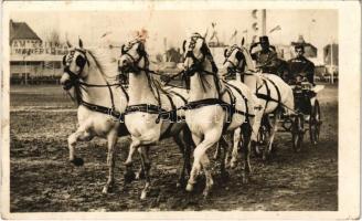 1942 Budapest, Országos Mezőgazdasági Kiállítás és Tenyészállatvásár, négyesfogat, Weiss Manfréd (fl)