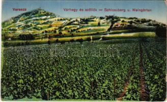 Versec, Werschetz, Vrsac; Várhegy és szőlők. Gábor Lajos kiadása / Schlossberg und Weingärten / castle hill, vineyards (EK)