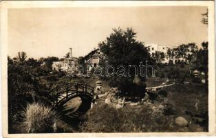 1943 Kolozsvár, Cluj; Botanikus kert / Botanical garden (fl)