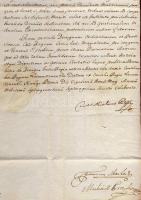 1772 Levél a Pozsonyi Helytartótanácstól gr. Pálffy Miklós aláírásáaval