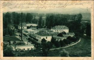 1929 Pöstyén, Pistyan, Piestany; A pöstyéni Pro Patria munkáskórház távlati képe / Pro Patria workers hospital (fl)