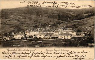 1906 Abrudbánya, Abrud; Ferenc József laktanya. Gálfy György fényképész kiadása / K.u.K. military barracks (EK)