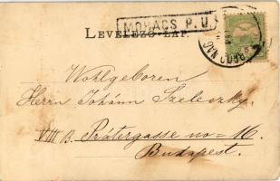 1905 Mehádia, Mehadia; Vízesés. Raich Sándor junior kiadása / Wasserfall / waterfall (fl)