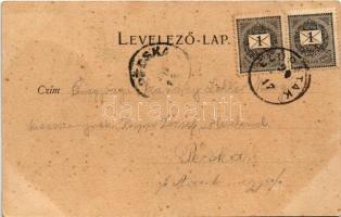 1899 (Vorläufer) Előpatak, Valcele; Lobogó fürdő és Otrobán villa. Benkő M. kiadása / spa, bath, vil...