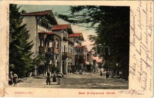 1905 Előpatak, Valcele; Gidófalvy villa / villa, spa (EK)