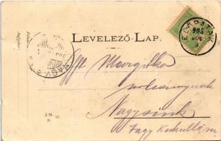 1905 Előpatak, Valcele; Gidófalvy villa / villa, spa (EK)