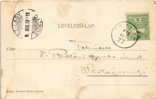 1905 Tasnád, Hosszú utca, gyógyszertár. Ábrahám Sándor kiadása / street view, pharmacy (fl)