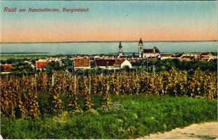 Ruszt, Rust am Neusiedlersee; szőlőhegy / vineyards / Weinberge. Edmund Frankendorfer 1925. (Rb)
