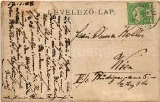 1908 Nagylévárd, Nagy-Lévárd, Velké Leváre; vadászok / hunters. photo (fl)