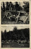 1939 Kőrösmező-Tiszaborkút, Jaszinya, Jasina-Kvasy, Yasinia (Máramaros); juhfejés, juh nyáj / Dojeni ovec, ovce na poloniny / milking the sheep (Rb)