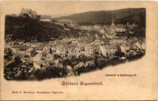 Segesvár, Schässburg, Sighisoara; látszat a Galt-hegyről. Roth G. Hermann fényképész / general view (fl)