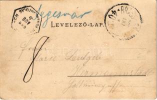 Segesvár, Schässburg, Sighisoara; látszat a Galt-hegyről. Roth G. Hermann fényképész / general view ...