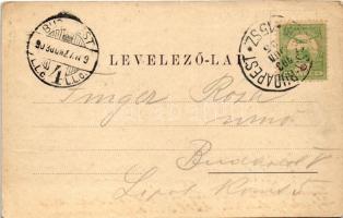 1903 Segesvár, Schässburg, Sighisoara; látkép. Zeidner H. kiadása / general view + "BRASSÓ - BU...