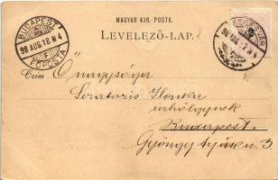 1898 (Vorläufer) Segesvár, Schässburg, Sighisoara; látkép. Fritz Teutsch kiadása / Totalansicht / ge...