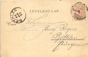 1899 (Vorläufer) Segesvár, Schässburg, Sighisoara; látkép. Fritz Teutsch kiadása / Totalansicht / ge...