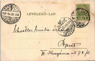 1902 Segesvár, Schässburg, Sighisoara; látkép. Fritz Teutsch kiadása / Totalansicht / general view (...