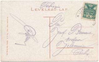 Ungvár, Uzshorod, Uzhorod; Fehérhajó palota, Halász Bertalan és Feuerlicht Testvérek üzlete. Ifjú Br...