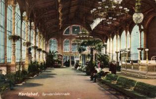 Karlovy Vary Sprudel Colonnade (EK)