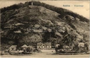 1923 Bethlen, Beclean; Bilak-hegy a Szamos mellett / mountain next to River Somes (EK)