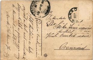 1911 Nagyszalonta, Salonta; Városháza / town hall (EB)