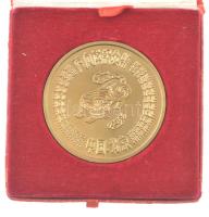 Kína DN A tigris éve kétoldalas bronz emlékérem díszdobozban (48mm) T:1- China ND Year of tiger two-sided bronze commemorative medallion in gift box (48mm) C:Au